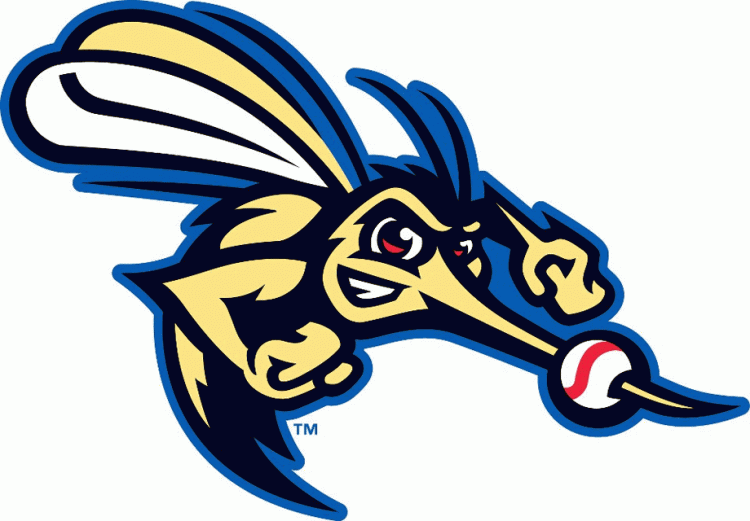 Sugar Land Skeeters 2012-Pres Cap Logo iron on transfers for T-shirts